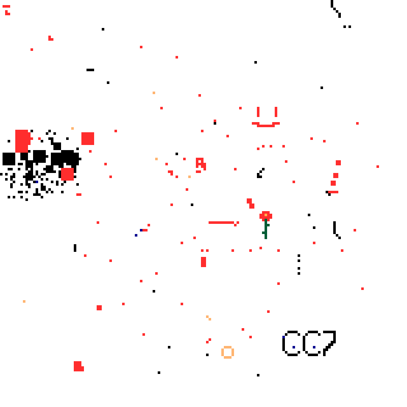 WeSearch Canvas — 2026-08-01