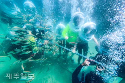 씨워커로 더위 날려