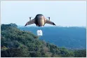 Bengaluru-based autonomous drone startup Airbound raised a $37M Series A led by Greenoaks, less than a year after an $8.65M seed, taking total funding to ~$50M (Jagmeet Singh/TechCrunch)