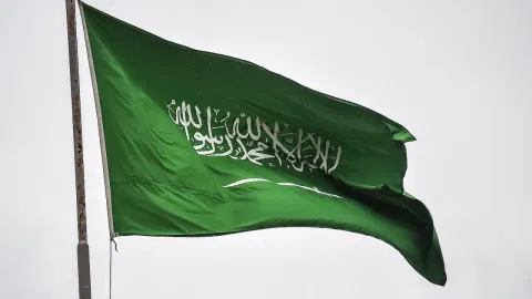 Egyptian, Saudi FMs discuss de-escalating regional tensions