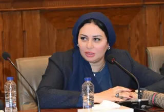 Egyptian MP proposes replacing ‘housewife’ on national ID with ‘generation maker’