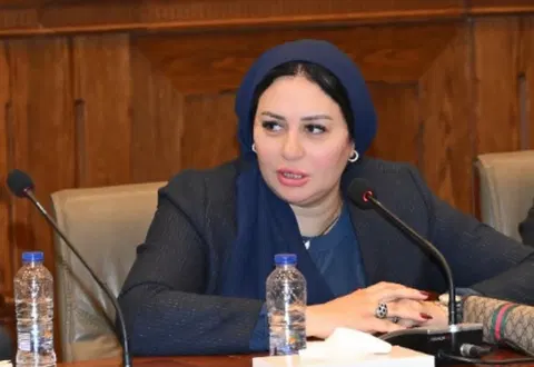 Egyptian MP proposes replacing ‘housewife’ on national ID with ‘generation maker’