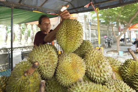 Compliance wall: China rewriting world’s agriculture trade rules