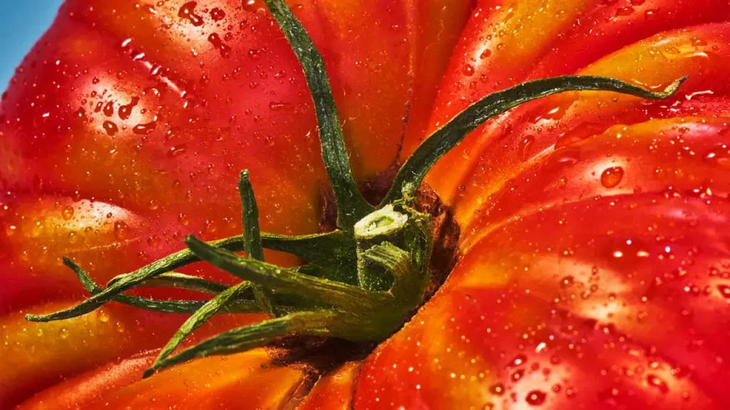 What Are Heirloom Tomatoes? A Complete Guide