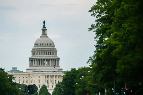 Making the Government Lean Again