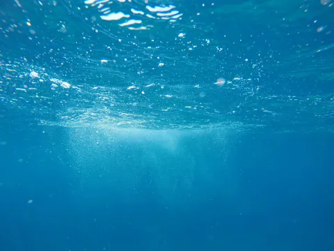 Ocean "Acidification' Is a Fake Scare