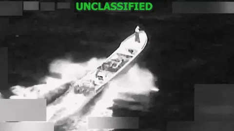 Defense Watchdog Will Probe U.S. Attacks on Boats in the Caribbean