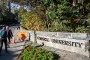 Cornell's Crisis of Irrationalism