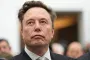Democrats Should Denounce Calls To Jail Elon Musk