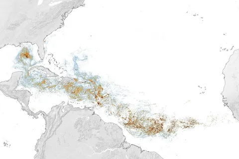 Sizing Up the Sargassum Belt