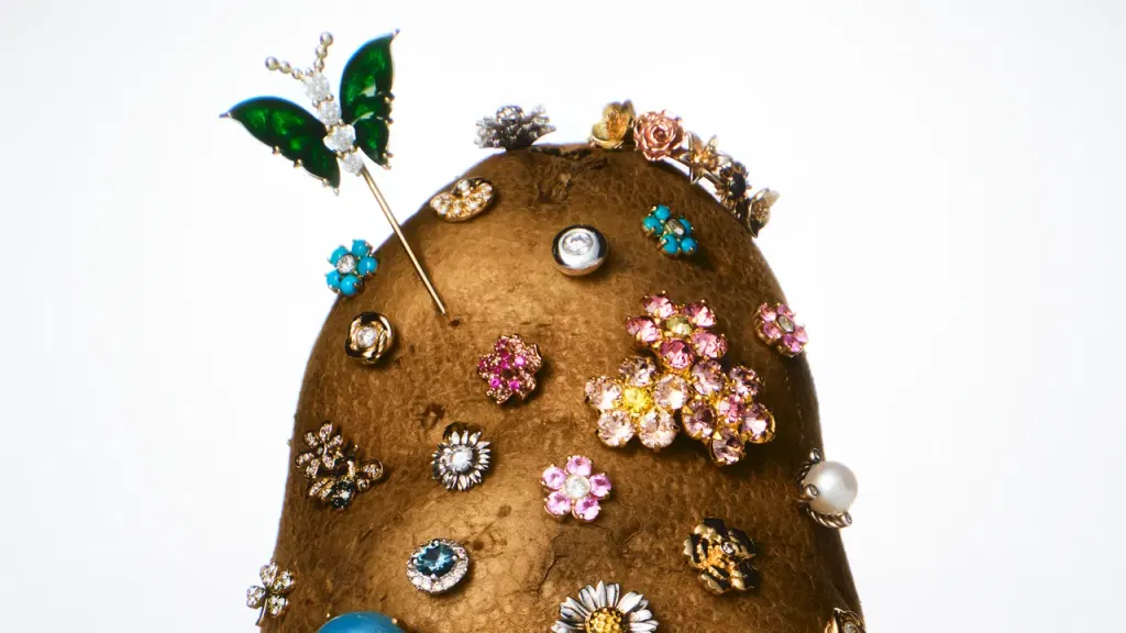 The Search for the Perfect Potato