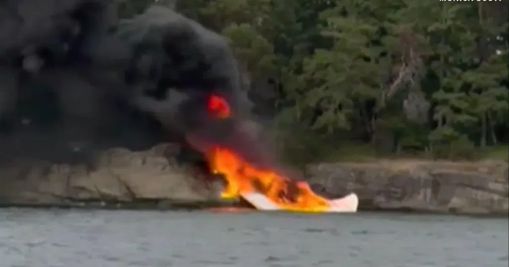 Video shows plane slamming into rocky island off Washington state, all 11 on board survive