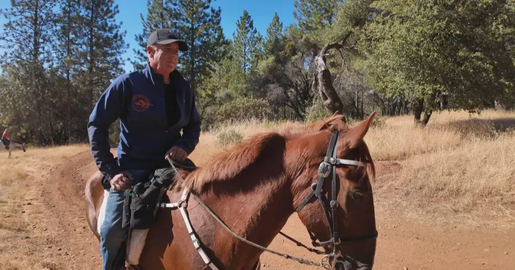 Horse trainer discovers pre-dug grave of missing California teen