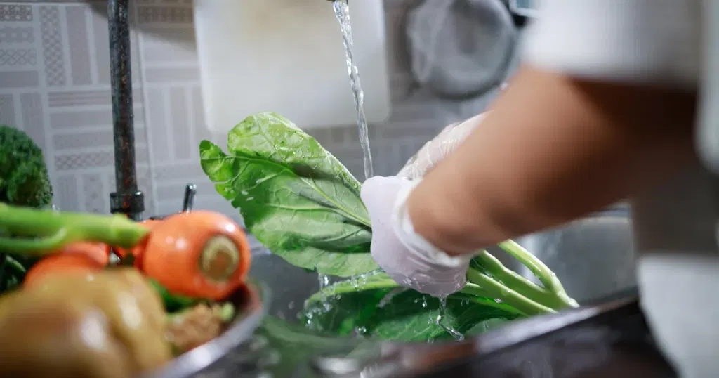 Cyclospora boosts fears that deadlier foodborne outbreaks are ahead