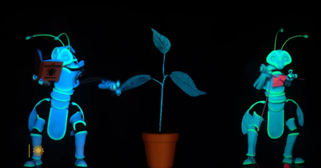 How plants feel