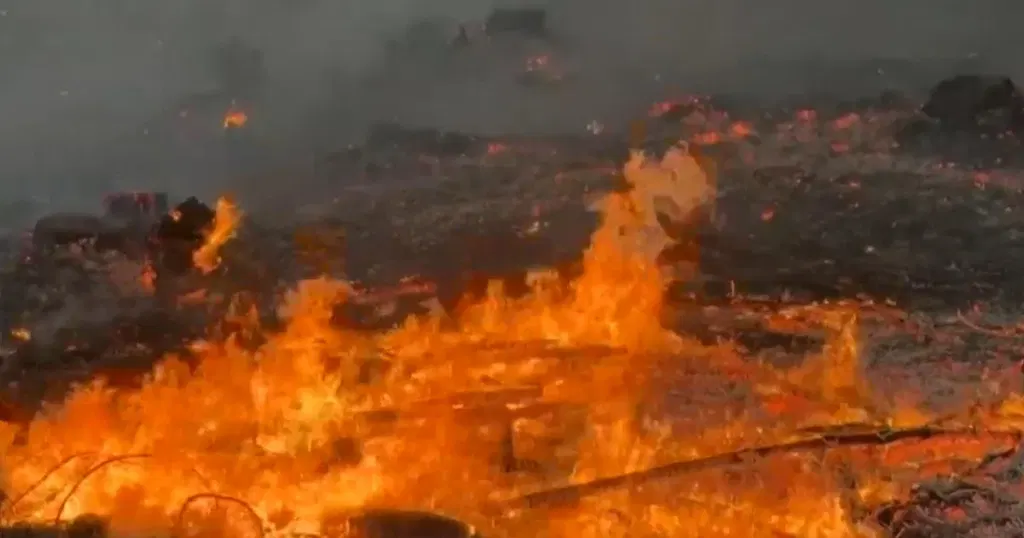Wildfire forces more than 220,000 to evacuate in France, destroys over 200 homes