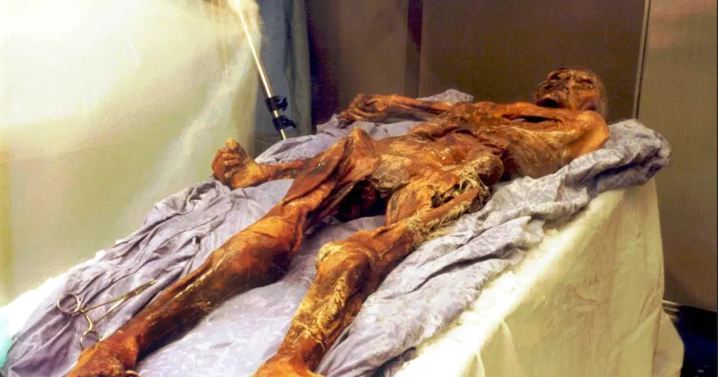 Scientists find yeast in frozen mummy's guts, use it to make bread