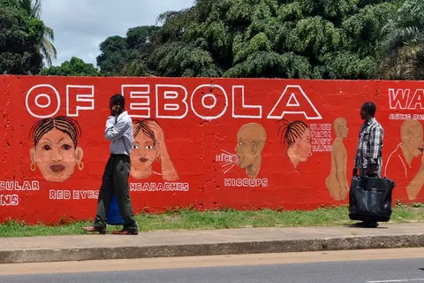 WHO declares global health emergency over Congo Ebola outbreak