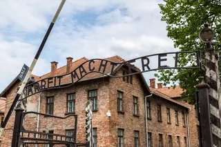 Tourists turned Auschwitz's death tracks into a photo set