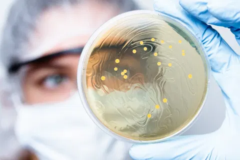 Scientists finally cracked how bacteria's spinning motor actually works