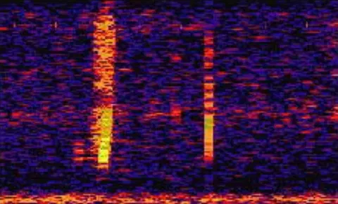 In 1997, NOAA recorded a sound louder than any known animal