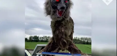 Bear-deterring "Monster Wolves"sold out in Japan