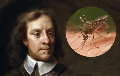 Irish councilor proposes tiny statue of mosquito blamed for killing invader Oliver Cromwell