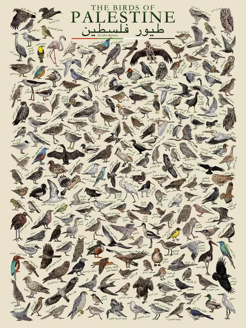 Poster of The Birds of Palestine
