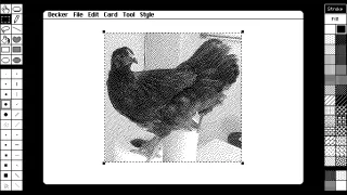 Decker is Hypercard for the modern web