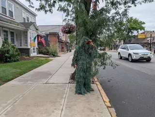 Cop dressed as shrub catches 74 texting drivers in 6 hours