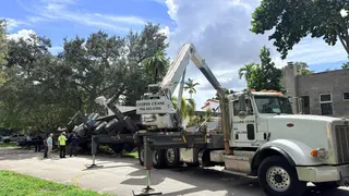 Crane falls over while trying to right fallen crane