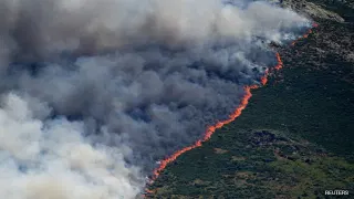 "Will Take Long Time To Control": Over 2 Lakh Evacuated Due To France Forest Fire