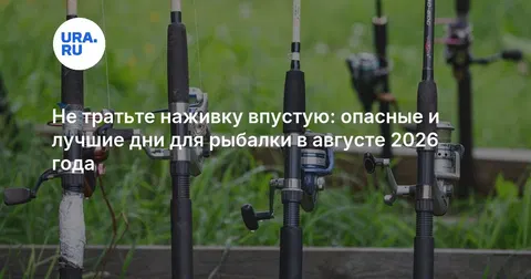 Не тратьте наживку впустую: опасные и лучшие дни для рыбалки в августе 2026 года