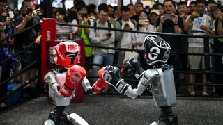 Who wins and who loses after US bans foreign robots?