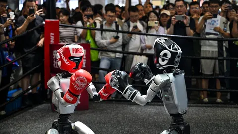 Who wins and who loses after US bans foreign robots?