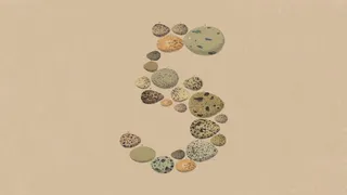 Anthropic's Opus 5 is about token efficiency, not a capability leap