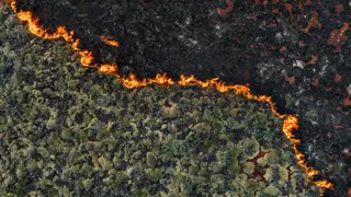 Senators demand crackdown on wildfire "prediction markets"