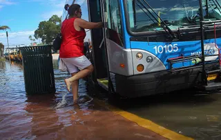 Effort begins to fill the void left by terminated US climate report