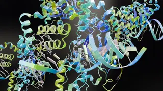 Google DeepMind introduces SynthID Bio, a family of watermarking methods for AI-designed proteins to help with biosecurity and scientific integrity (John Timmer/Ars Technica)