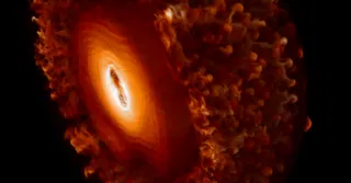 What happens when neutrinos swap identities inside a supernova?