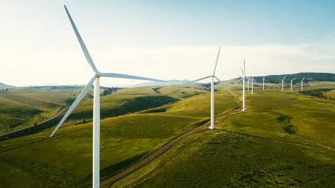 The 2008 economic crisis changed the US's relationship to energy