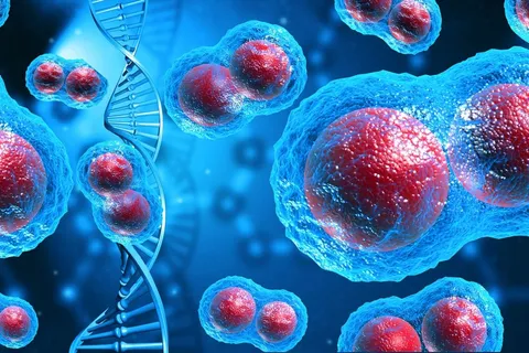 Why Some Cancers Are More Aggressive Than Others May Come Down to Cell Size