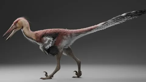 This 70-Million-Year-Old Dinosaur Looked Like a Raptor, but May Have Fished Like a Heron