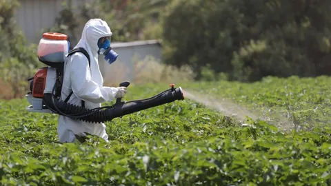 Is There a Link Between Pesticides and Cancer? A Mixture of Chemicals May Drive the Risk