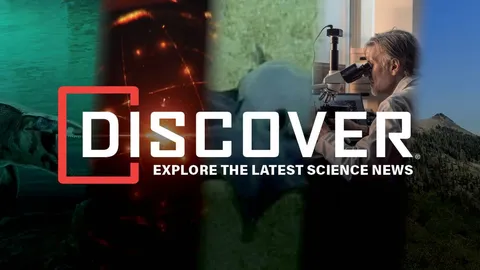 A New Tiny Blue Octopus, Helium Shortage, Norovirus Outbreak in California, and the Texas <em>T. rex</em>