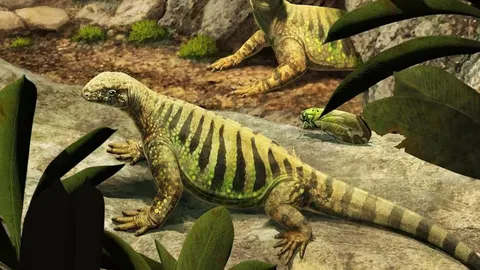 This 260-Million-Year-Old Reptile Fossil Is Reshaping the Story of Turtle Evolution