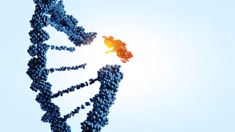 Gene Editing May Help Treat Dangerously High Cholesterol with Just One Infusion