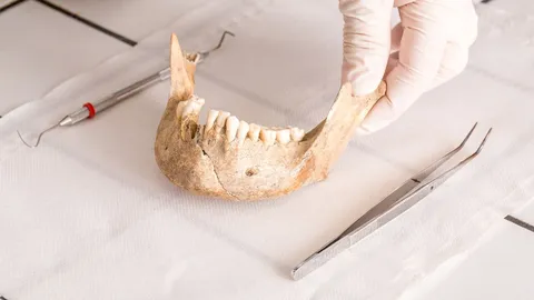 Ancient Teeth Suggest Europeans Rarely Ate Bugs&mdash;and May Have Been Less Adapted to Digest Them