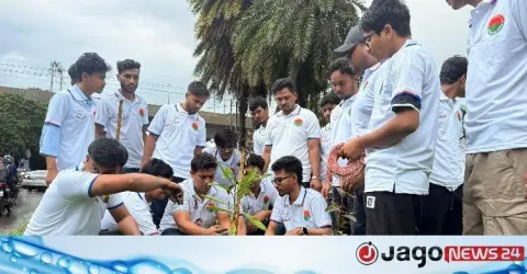 জুলাই শহীদদের স্মরণে ছাত্রদলের বৃক্ষরোপণ কর্মসূচি