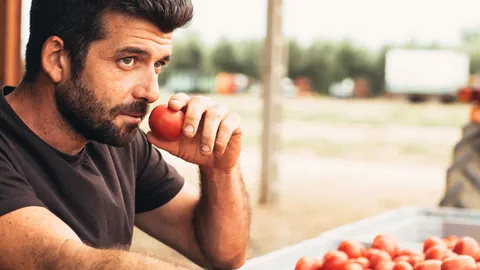 I’m going to be trying these top 4 tips to get my tomatoes tasting as if they were grown in Italy — after an Italian farmer shared why I 'shouldn't rush the land'